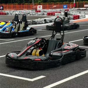 Electric go karts are suitable for adults to purchase. They offer high speed electronic fast go karts