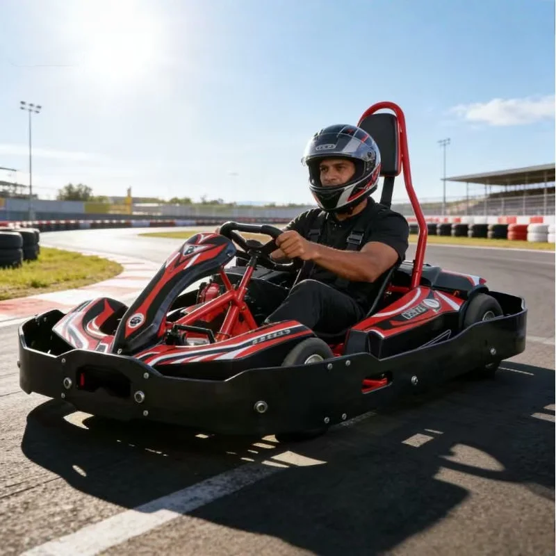 Exciting Outdoor Racing Electric Go Kart Medium High Speed Amusement Rides for Commercial Fun Games Affordable Luxury Sports