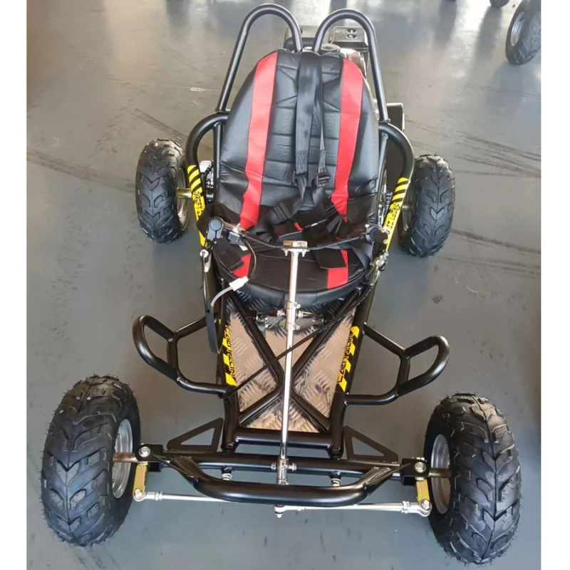 FRANFUN Karts 196CC Air cooled 4 Stroke Teenagers Adults Children Universal Go kart