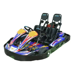 Factory 200cc/270cc 6.5HP/9.0HP Racing Two Seat Professional Gasoline Go Kart Amusement Park Outdoor Use 60km/h Speed