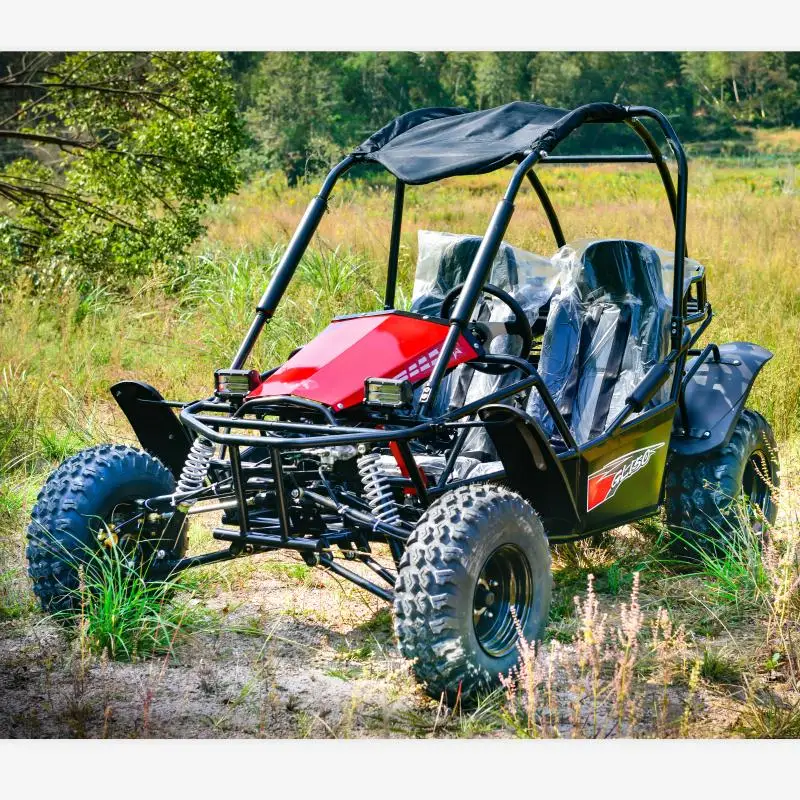 Factory 200cc 4 Stroke Gas Chain Drive Sport Racing Go Kart off Road Buggy for Sale
