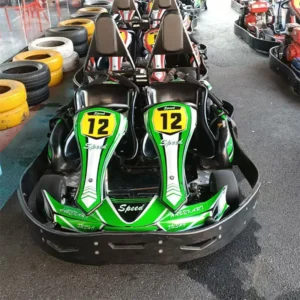 Factory Attractive Racing Go Kart Game Rides Petrol Adult Pedal 50 200CC Ce Approved