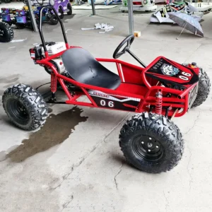 Factory Direct Sales Easy-to-Drive Pedal Hand-Start 4-Stroke Gas Off-Road Children Adult Outdoor Go-kart Hydraulic Disc Brakes