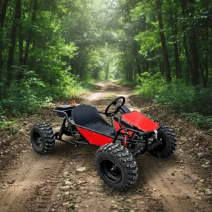 Factory Directly Sale Funfair Kids All Terrain Vehicles Children Karting Gasoline Go kart for Sale