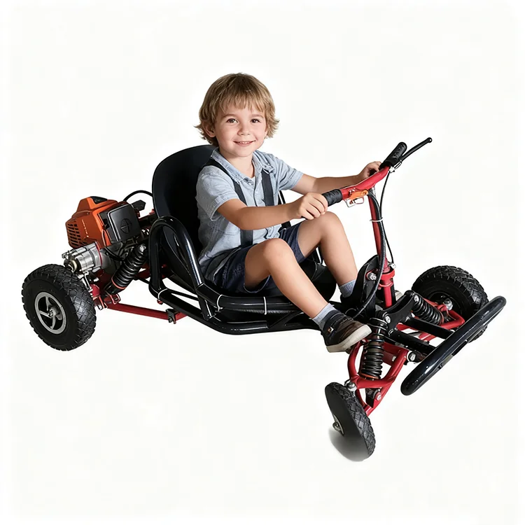 Factory Electric and Gas Go Karts for Adults and Kids Racing Go Carts Manufacturer OEM & Custom Available