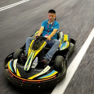 Factory High Performance Heavy Duty Go Karts for Adults 2000W Outdoor Indoor Electric Go Kart for Sale