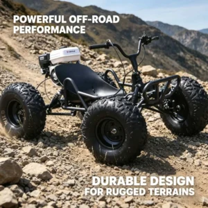 Factory High Quality Off Road Go Kart Gas Powered Karts Dune for Adults and Kids for Entertainment