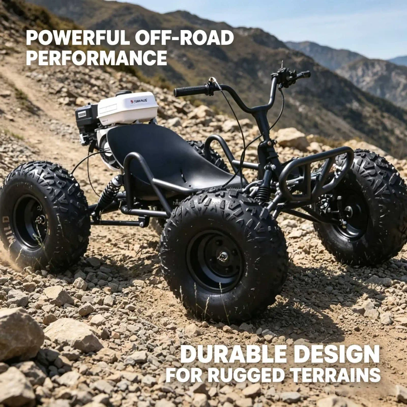 Factory High Quality Off Road Go Kart Gas Powered Karts Dune for Adults and Kids for Entertainment