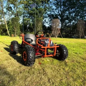 Factory Price High Quality 1000W Kids teenager Fast Speed Go Karts Buggy