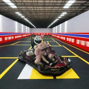 Fast 200CC 270CC 390CC Gasoline Racing Go Karts Four Stroke Design Available for Video Viewing at Factory