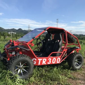Four Wheel Two Seater Kart Adult Gasoline Mountain Off-road Vehicle All Terrain Beach Axle Transmission
