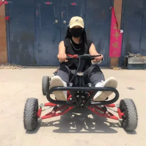 Gas 4 Stroke Engine 10 kW Power Racing off Road Go Kart with 1 Year Warranty