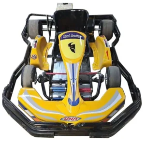 Gas Powered Racing Go Karts for Adults