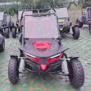 Gasoline 250cc 300cc Beach Racing Go Kart Off Road Side by Side Dune Buggy for Adults