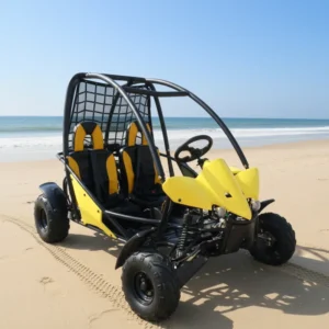 Gasoline Go Kart Adult 125cc Pedal Sand Buggy Dune Buggy Hydraulic Disc Brake Outdoor 12v Chain Drive