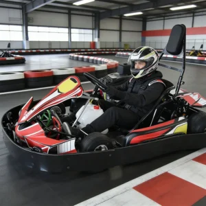 Go Carts Gas Powered Adult Petrol Kart Rental Go Karting Car for Amusement Park