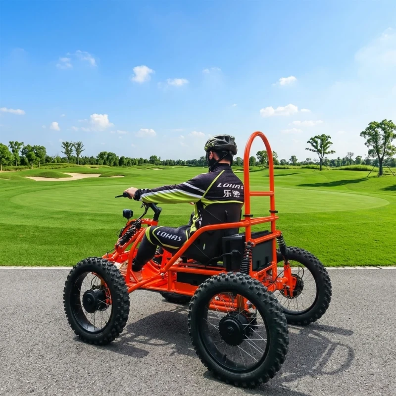 Go Kart 3000W 48V 60AH