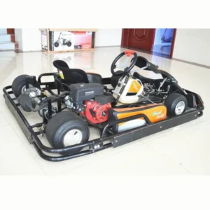Go Kart for Rental 9HP Racing Go Kart Engine Electric Racing Go Karts for Sale SX G1101(LX9 A)