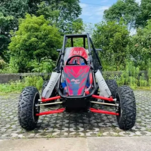 Go Karts for Sale Racing Go Kart Adult Off Road for Rental Scenic Areas Customized Color