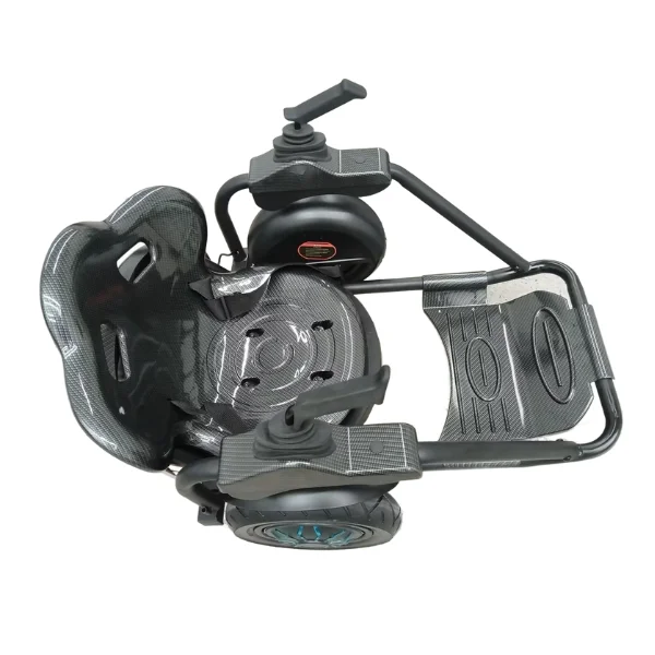 High Quality 2 Wheel Electric Go Karts for Adult Use with Disc Brake Outdoor Sports & Entertainment