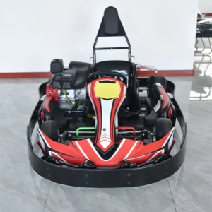 High Quality Adult Amusement Park Go Kart Racing Gas Electric Powered Different Material Applied Kart