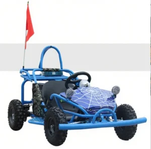 High Quality Go Kart Rental Kart