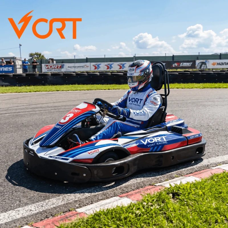 High Speed 3000W Electric Go Kart Adult Racing Karting OEM Battery Powered Electric Adult Go Kart