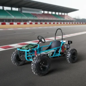 High Speed Gas 4 Stroke 212cc 80km/h Go Kart Outdoor Racing Off-road Go Karting