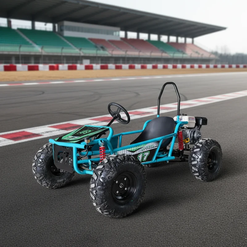 High Speed Gas 4 Stroke 212cc 80km/h Go Kart Outdoor Racing Off-road Go Karting