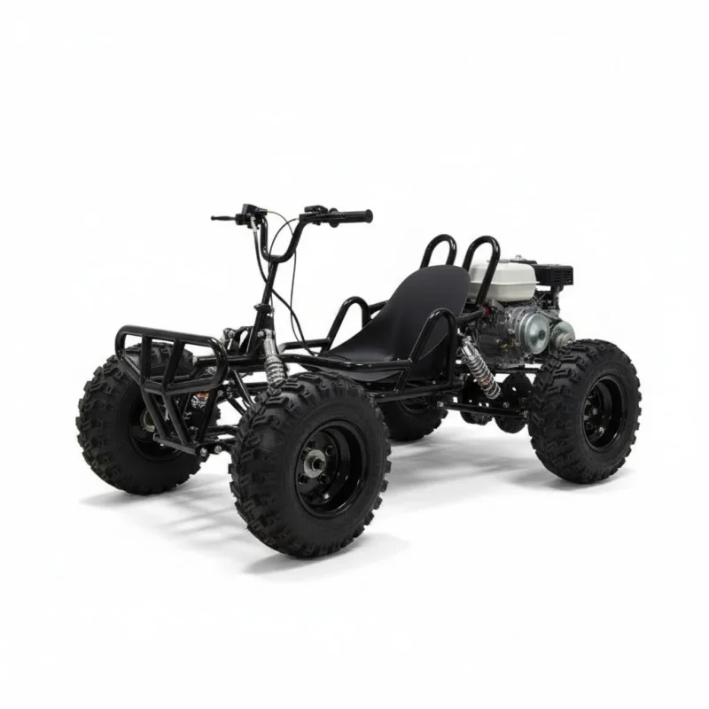 High-Speed Gas Go-Karts for Adults and Kids Off-Road Dune Buggies Disc Brakes 4 Stroke Engine Utility Pull Start Gasoline