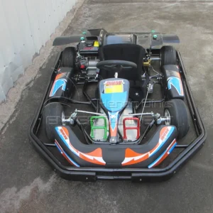High Speed Off Road Gasoline Tank Engine Amusement Hydraulic Brake Shaft Gear Racing Go Kart