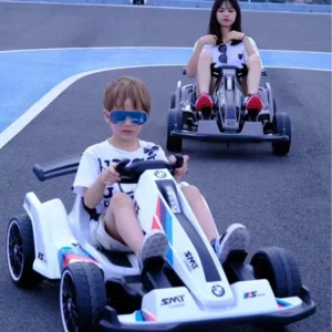High Speed Racing Go Karting Electric Battery Go Kart Kids Drift Kart