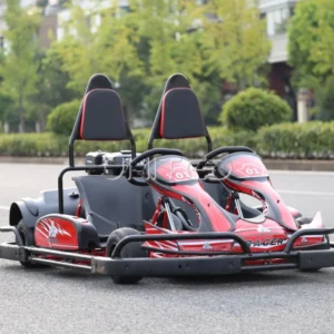 High quality Two seat Outdoor Recreational Go kart for Children and Adults Smooth Ride