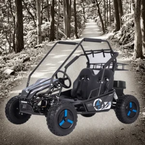 Highper 60V 20AH 2 Seater Outdoor Electric Go Kart with Disc Brake Shaft Drive 2000W Motor with CE