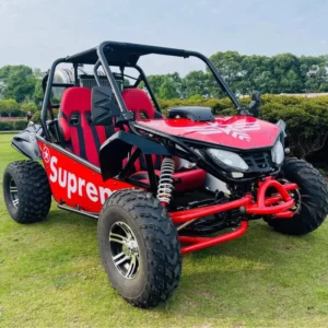 Independent Suspension Off road Go kart Automatic Transmission UTV All terrain Beach Racing Drift Quad Bike 20cc 200kg