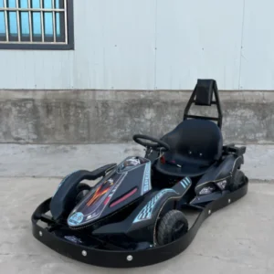 Internet Celebrity Outdoor Adult Off Road Racing Sports Electric Double Drift Bike Go Kart Amusement Equipment