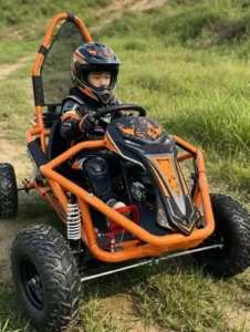 Kids Off Road Electric Go Kart 1 Seater Outdoor Ride On Buggy for Kids & Teens