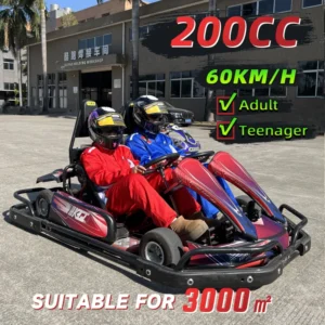 Kupao Adult & Teen 2 Seater Petrol Go Kart Commercial Rental 4 Stroke Racing Go Cart 200CC Gasoline Engine High Speed Fun 60KM H