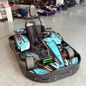 Kupao Flare 270CC Petrol Go Kart for Adult 80km/h Commercial Gasoline Powered Karting Car Rear Hydraulic Disc Brake