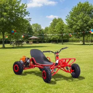LWGK-63 Professional Outdoor Off-Road Buggy Go-Kart 63.3cc 2-Stroke Chain Drive Hydraulic Disc Brakes 25-30km/h Max