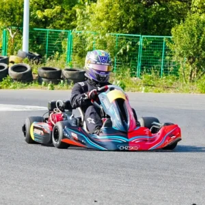 Low Maintenance Cost Commercial Karting Car Gasoline 200cc Go Kart with Adjustable Pedals for Amusement Park Track