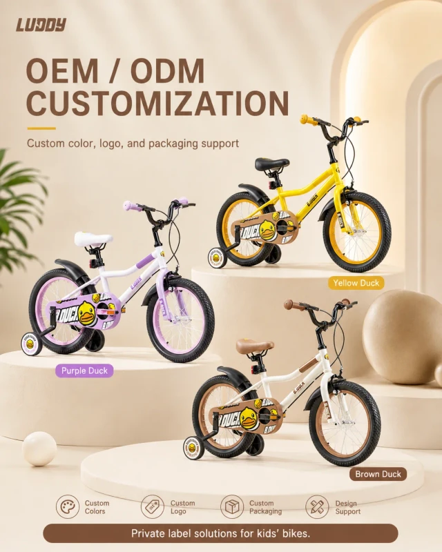 Luddy C1014 Children Bicycle Toddler Push Bike OEM Custom City Cruiser Cycle Toy with Front Basket & Rear Rack