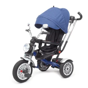 Luxury Children Metal Frame Tricycle with Sunshade and Push Bar 3 Wheels Tricycle for Kids Children