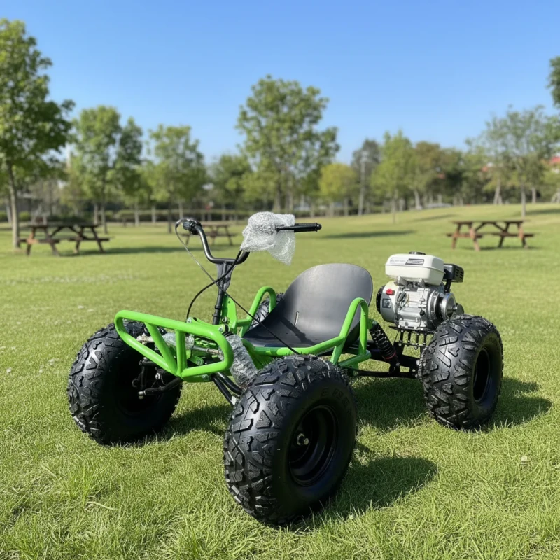 Manufacturer Supplies Professional Gasoline Powered Go Karts 212cc Four Stroke CVT Off Road Four Wheel Go Karts Made in China