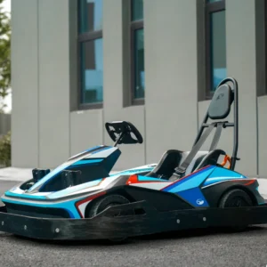 Mini Adults Go Karts Racing Karting Car Electric Gokarting Amusement Rides