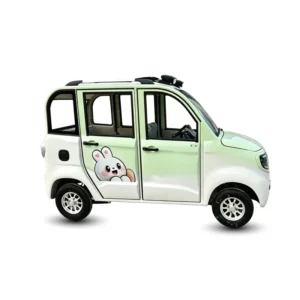 Mini Electric Car New Energy Car Adult Mobility Scooter 1000W Electric Motor Enclosed Mobility Car