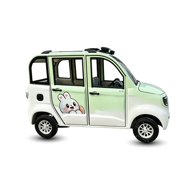 Mini Electric Car New Energy Car Adult Mobility Scooter 1000W Electric Motor Enclosed Mobility Car