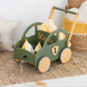 Montessori Wooden Car Pusher Toy for Baby Boys Toddler Walker with Push Pull Learning Feature Personalized Toy Chest Organizer