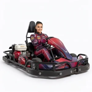 Multi Function Karting Outdoor or Indoor for Kids and Adults Field Drift Electric Go Kart Kits Racing Go Karts