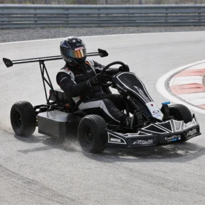 New Design Electric Go Kart Adult Commercial Racing Kart Electric Go Karts for Adults and Teenagers